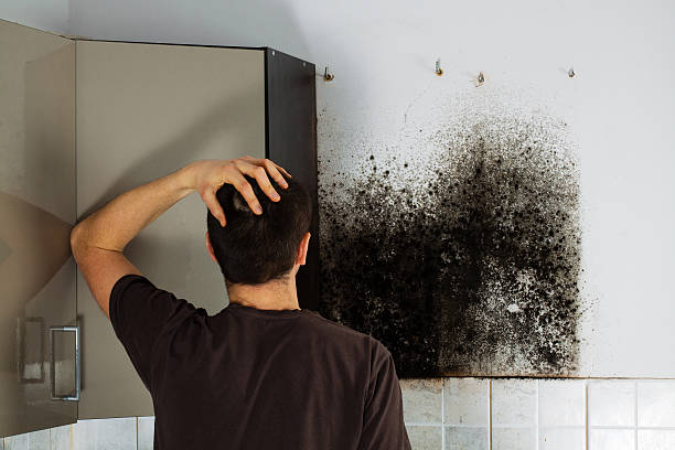 Best Kitchen Mold Remediation in Cavalier, ND