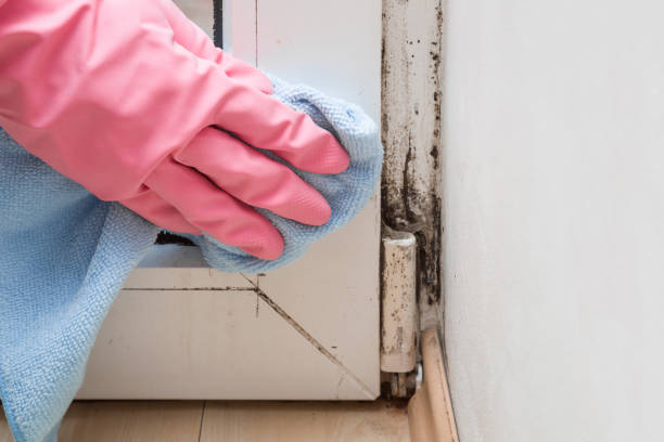 Cavalier, ND Mold Remediation Company